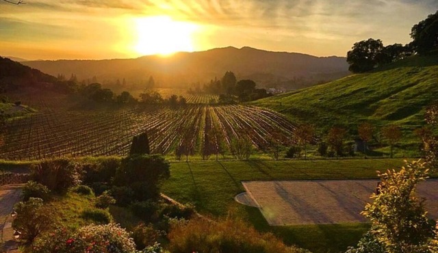 Vezer Family Vineyard Private Estate. Endless views of vineyards, hillsides.