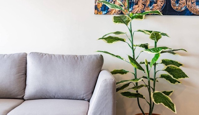 VH | Modern Loft + Rooftop and WIFI | Roma Nte | 317