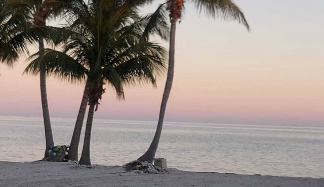 Viamarhe-3/1 Ground Level Oceanfront home w/Kayaks, Yard Games & More