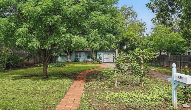 Vibrant Artistic Retreat Among the Trees