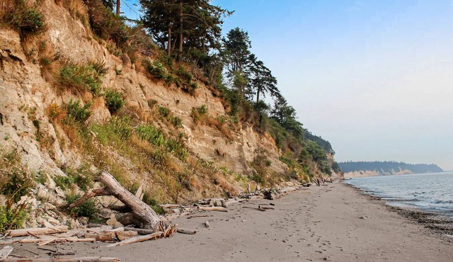 Vibrant dog-friendly home with fireplace, patio, gas grill, deck, & board games