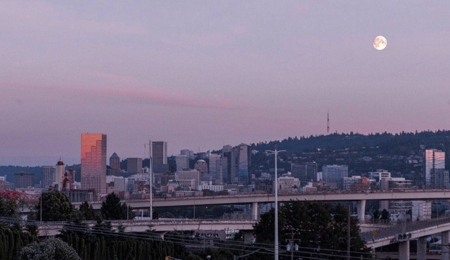 Vibrant Well Designed Studio w/Incredible City Views