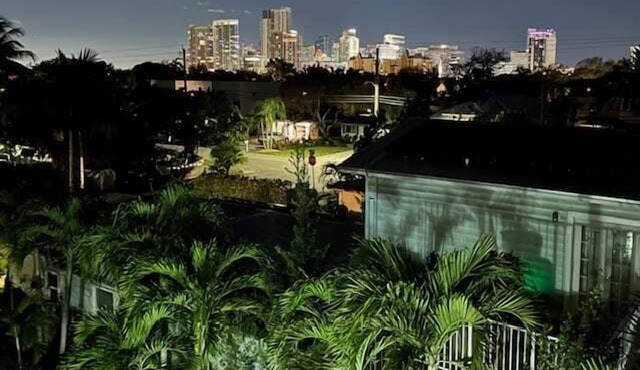 Victoria Park Overlook: Rooftop views
