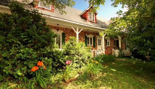 Vieille Maison Rustique Espace Intéressant