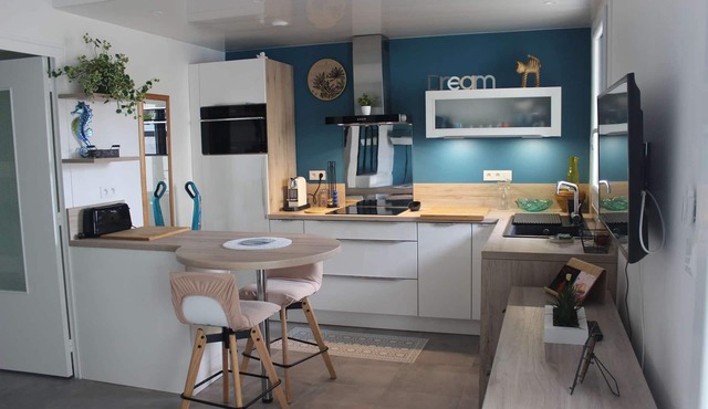 VIEUX BOUCAU CITY CENTER, BEAUTIFUL 1-BR APARTMENT