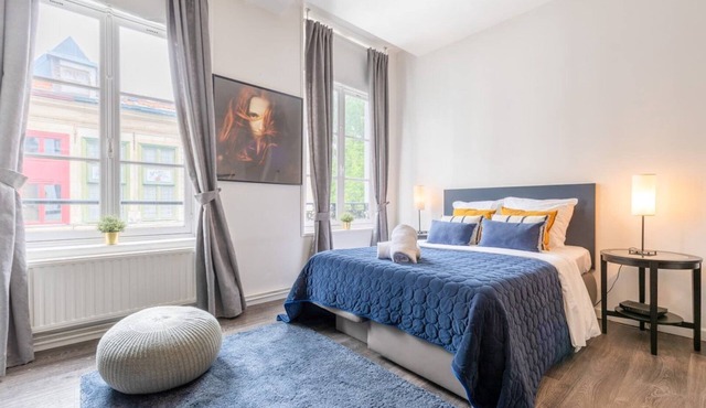 Vieux Lille - Large modern and functional studio