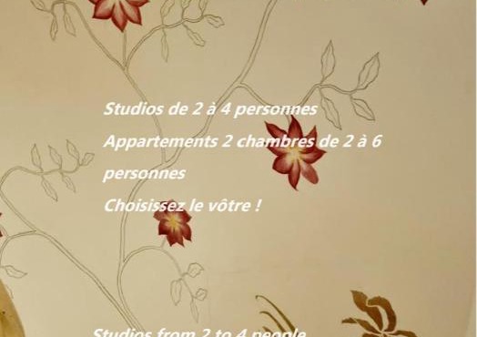 VIEUX LILLE Porte de Gand Bienvenue chez NESTYOU, Lille