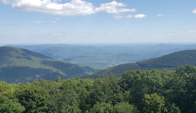 View from the Top