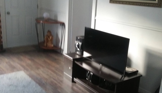 View of the river, near the city center and the bike path near the river.