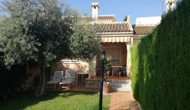 View of the sea and the private garden with palm trees and an olive tree.