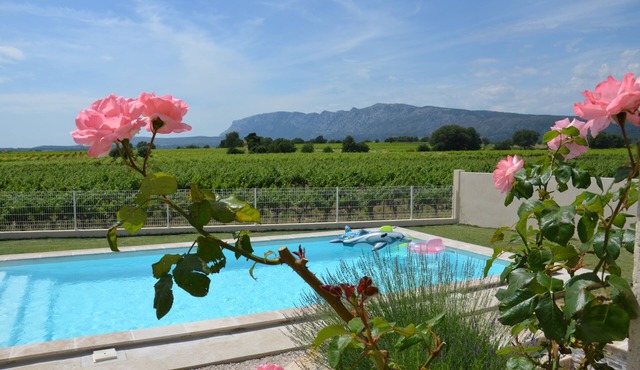 View Sainte Victoire, large new apartment with swimming pool near Aix-en-Provence