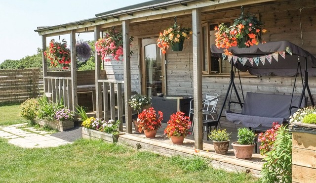 VIEW THE GALLERY, pet friendly, with open fire in Okehampton