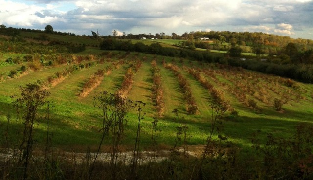 Views! Close to Liberty, BRP and Excellent Pie! Special Rates for Couples