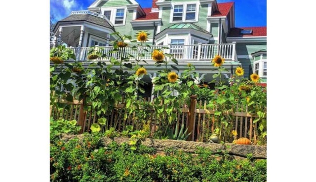 Views from every room looking over the Marblehead Harbor