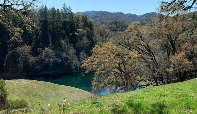 VIEWS! Last Minute/Longer Stay SPECIALS!