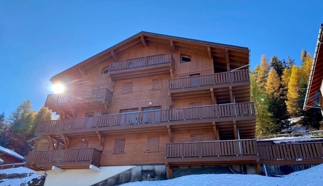 Views of Mont Blanc. Spacious 3 bed 2 bath near Plagne 1800. Free bus