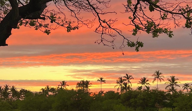 Views, Views, Views Chef's Kitchen, Ample Supplies, Home Office, Weekly Discount