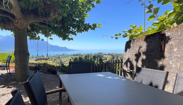 Vigneronne, Vigne by Interhome