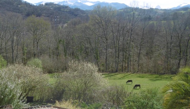 VIGNES ET MONTAGNE !