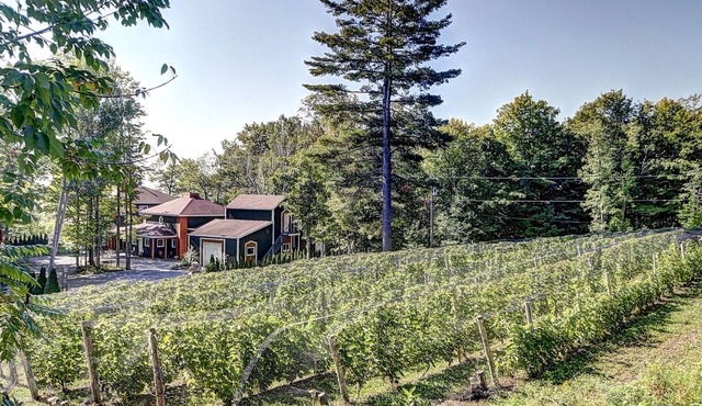Vignoble du Domaine des 3 Moulins à 20 Min. de Qc