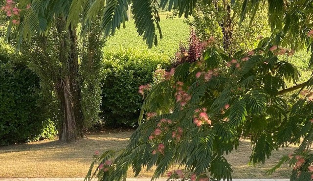 Villalima🌟piscine🌟au Calme🌟à la Campagne