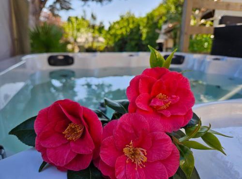 Villa 11 pers 4CH - Jacuzzi - Le Cormier