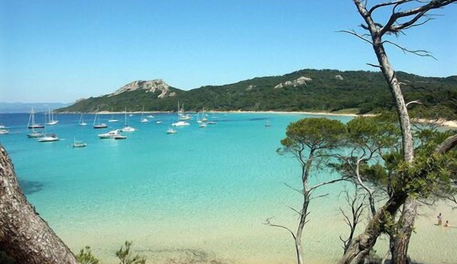 Villa 15km of the beaches of Hyères les Palmiers
