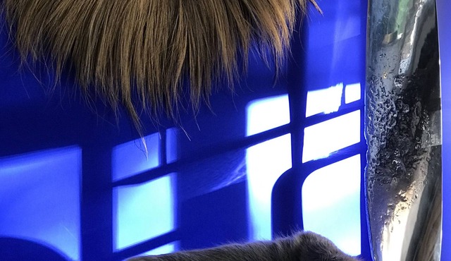 Villa 1900 Avec Véranda Dété et Jardin Paysager Proche des Sites Olympiques