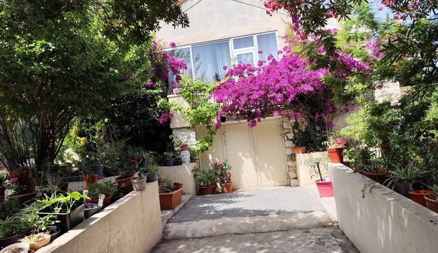 Villa 400m from Tulière beach