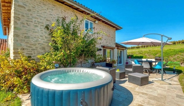 VILLA 5*- 12 PERSONS PMR= ALL HANDICAPS, ELEVATOR, SPA, SWIMMING POOL, VINEYARD