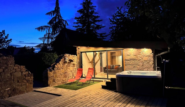 Villa-Alsace SPA -Sport and luxury pool- 17 min from Strasbourg (sleeps 14)