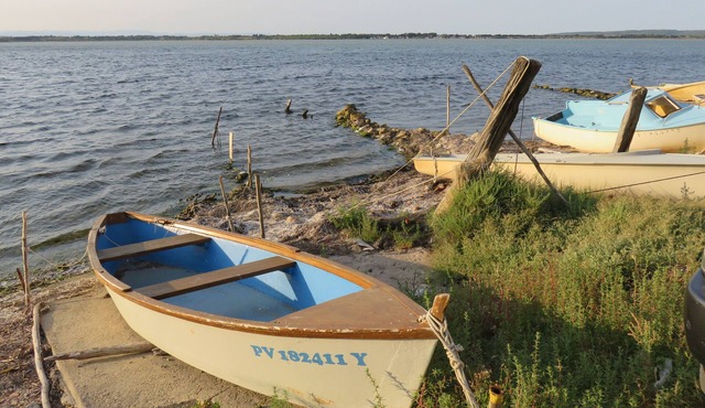 VILLA AMISTA: luxurious contemporary villa by the sea