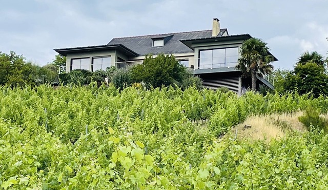 Villa au Cœur des Vignes