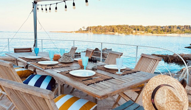 Villa Avec Bord de mer Privé sur le cap Dantibes