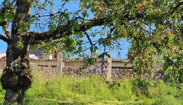 Villa, Avec Panorama SUR LE Mont Poupet Havre Ideal DE Paix, EN Famille