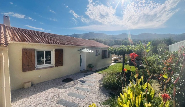 Villa Bastia Furiani - Swimming pool & Jacuzzi