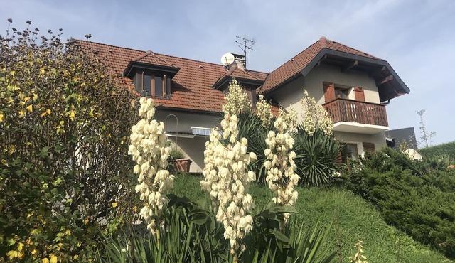 Villa BelleVue, near Lac Annecy + ski regions, new kitchen, 4 bedrooms: 8 per.,Sauna