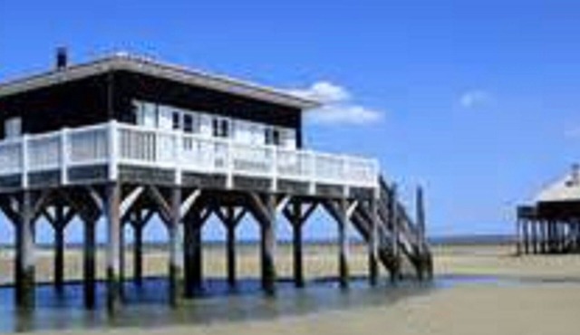 Villa between Bordeaux and St Emilion, 60 minutes from the Dune du Pyla and Arcachon