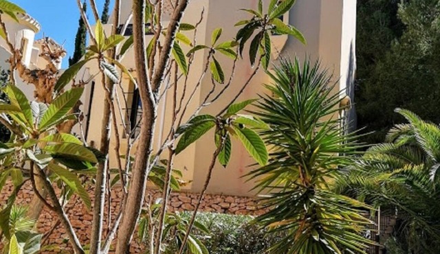 Villa Blanca - Luxury development, close to the beach, recently renovated.