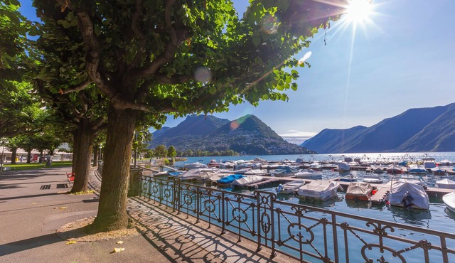 Villa Blu Ortensia, Pura (Lugano), Switzerland