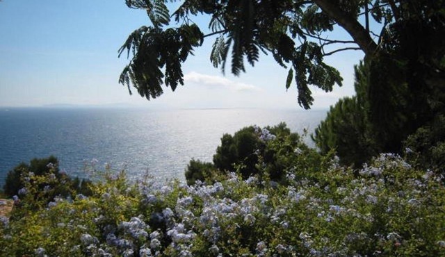 Villa Cavalaire-sur-Mer, 2 pièces, 4 personnes - FR-1-100-202