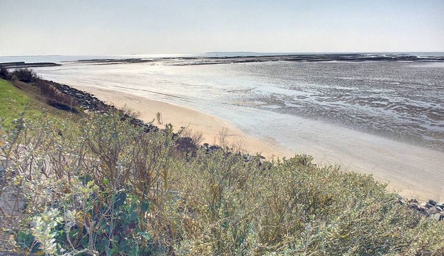 Villa Châtelaillon-Plage, 2 bedrooms, 5 persons