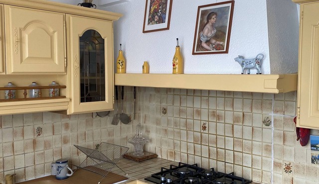 Villa "Corisande" and its panoramic view of the Pic du Midi.