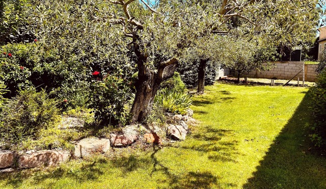 Villa D'exception en Occitanie : vos Vacances de Rêve!