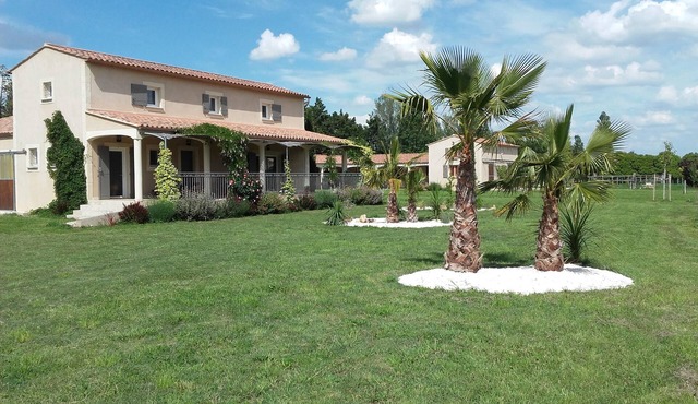 Villa da Palmeira with pool and air conditioning between Alpilles and Montagnette