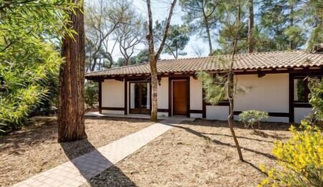 Villa Dahlia a stone's throw from the beach