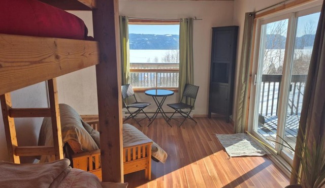 Villa de la Montagne VUE sur le Fjord
