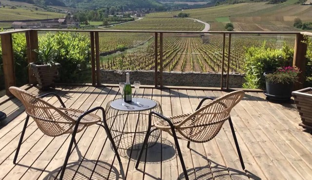 Villa Deck, panoramic view of the vineyards