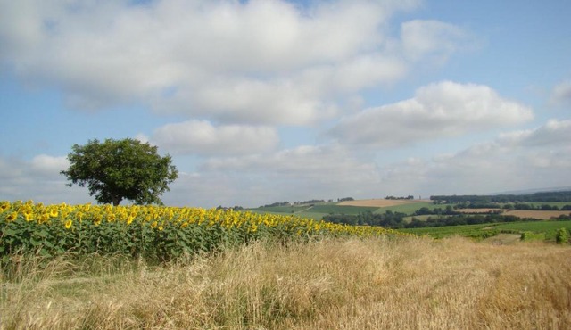 Villa Des Marronniers