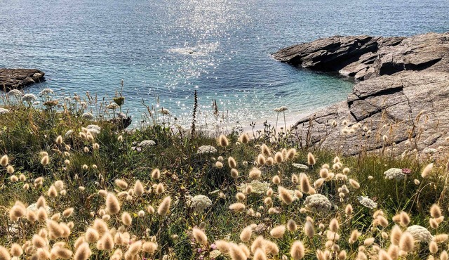 Villa du petit phare - sea view - 10people